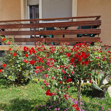 Guesthouse Irac Tuzla Dış mekan fotoğraf