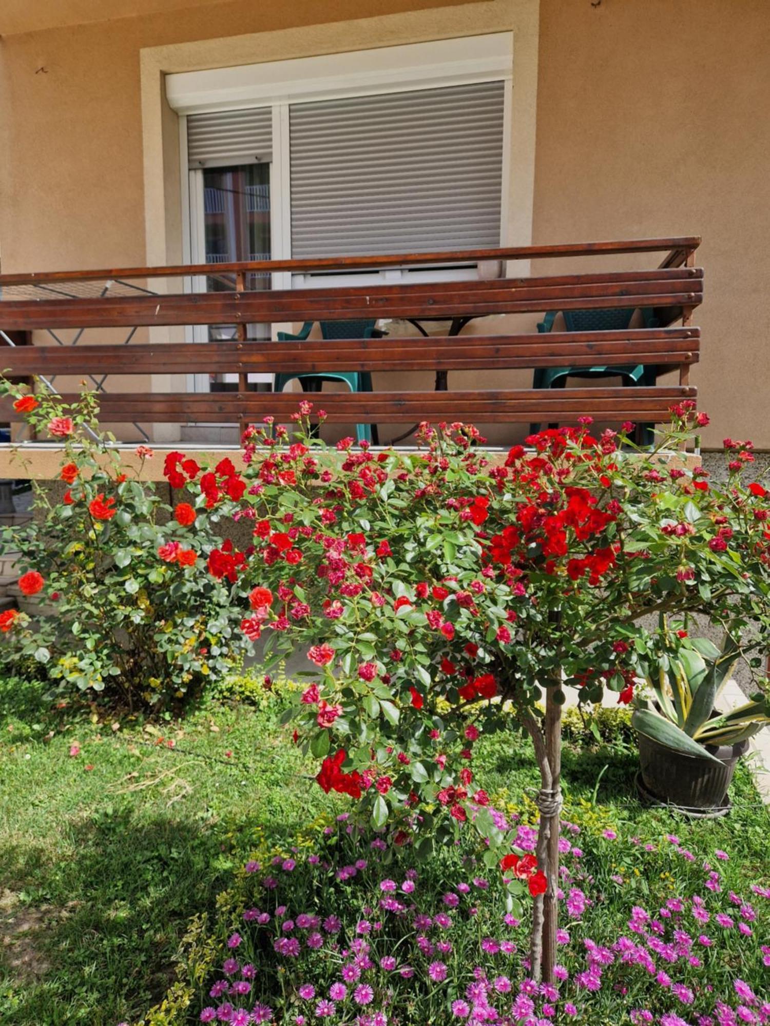 Guesthouse Irac Tuzla Dış mekan fotoğraf